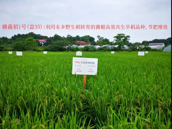 九洲国际·(集团)有限公司官网